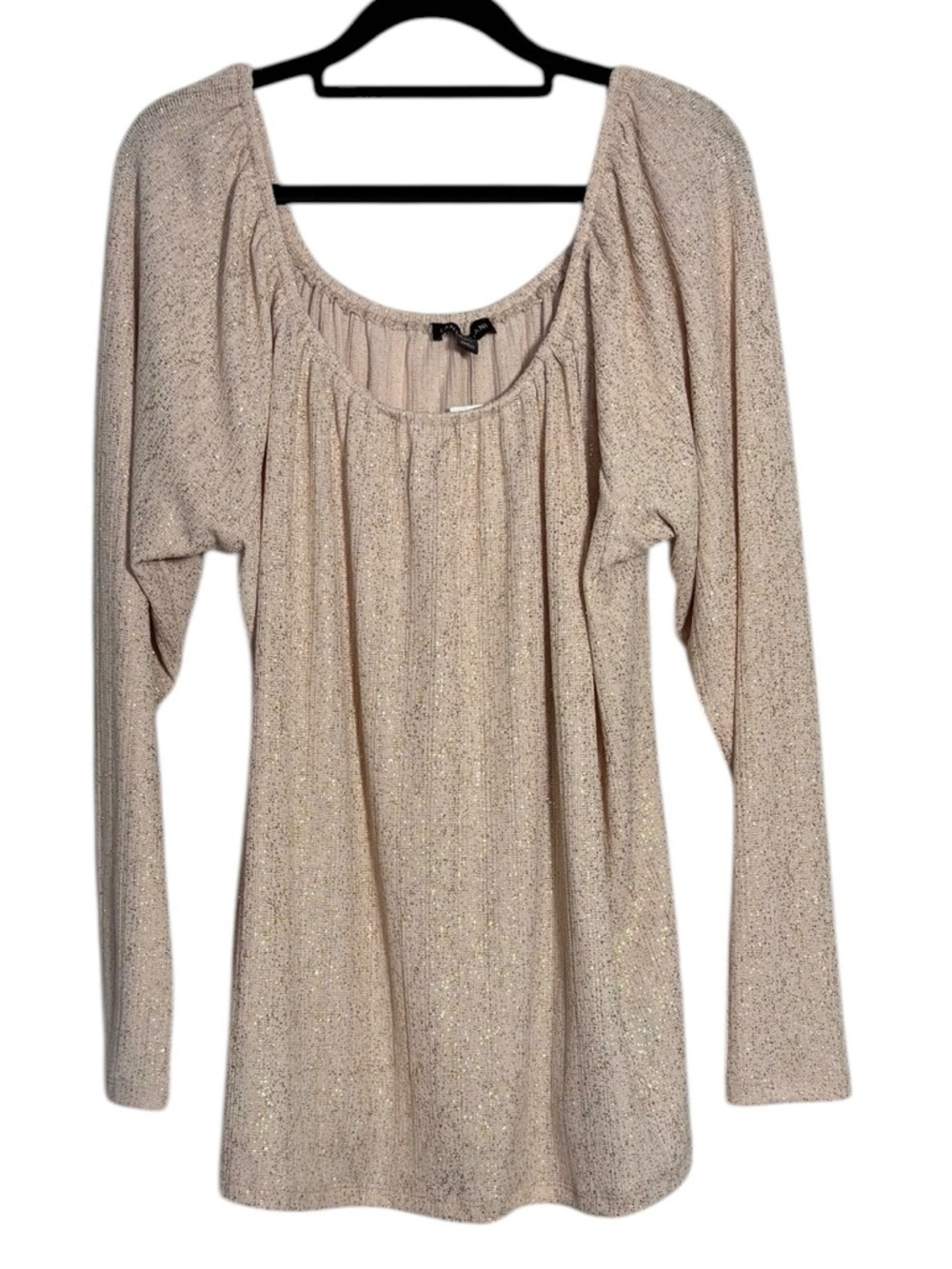 Lane Bryant Shimmery light pink Scoop Neck Long Sleeve Top